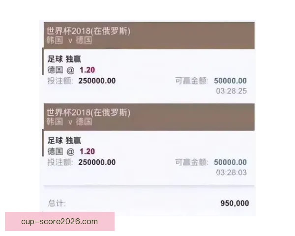 围绕世界杯买球平台打造安全便捷高效体育投注新体验指南